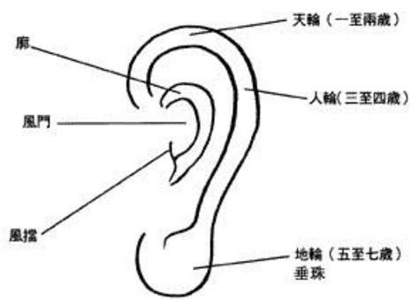 耳廓面相